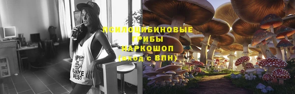 соль курить ск Новодвинск