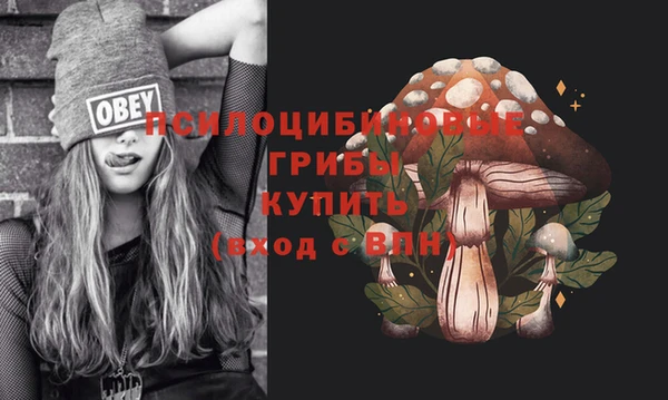 амфетамин Новозыбков