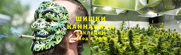 соль курить ск Новодвинск